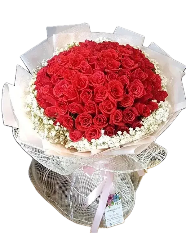Bó Hoa Hồng Đỏ 101 - vlt012 1 bó hoa hồng đỏ 101
