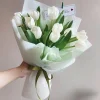 bó hoa tulip màu trắng tinh khôi