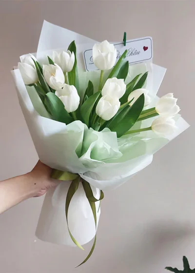 bó hoa tulip màu trắng tinh khôi