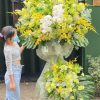 lẵng hoa chúc mừng khai trương khởi đầu mới trọn vẹn