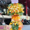 kệ hoa khai trương monstera đốm Sắc Nắng Phồn Vinh