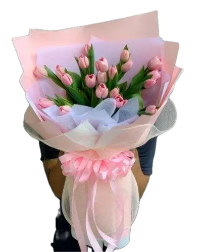 bó hoa tulip đẹp