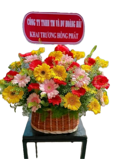 giỏ hoa đồng tiền đẹp giá rẻ