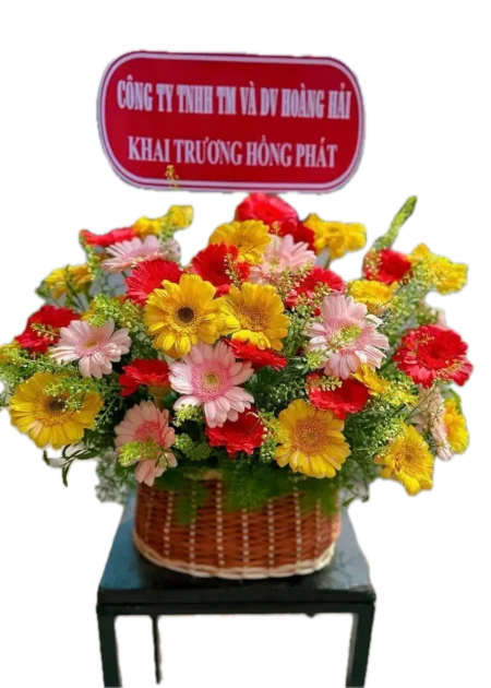 giỏ hoa đồng tiền đẹp giá rẻ