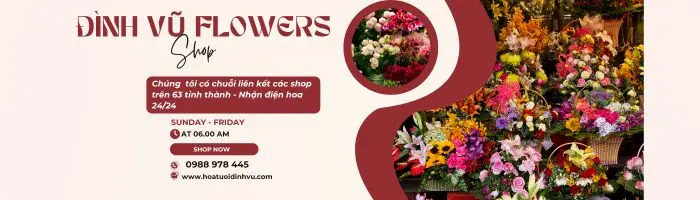 TRANG CHỦ 8 banner quang cao2