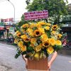 giỏ hoa khởi đầu rực rỡ