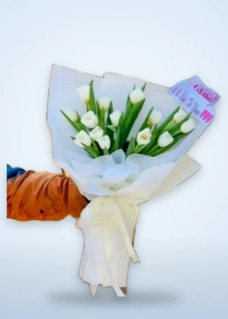 Bó Hoa Tulip Nhập - Tul09