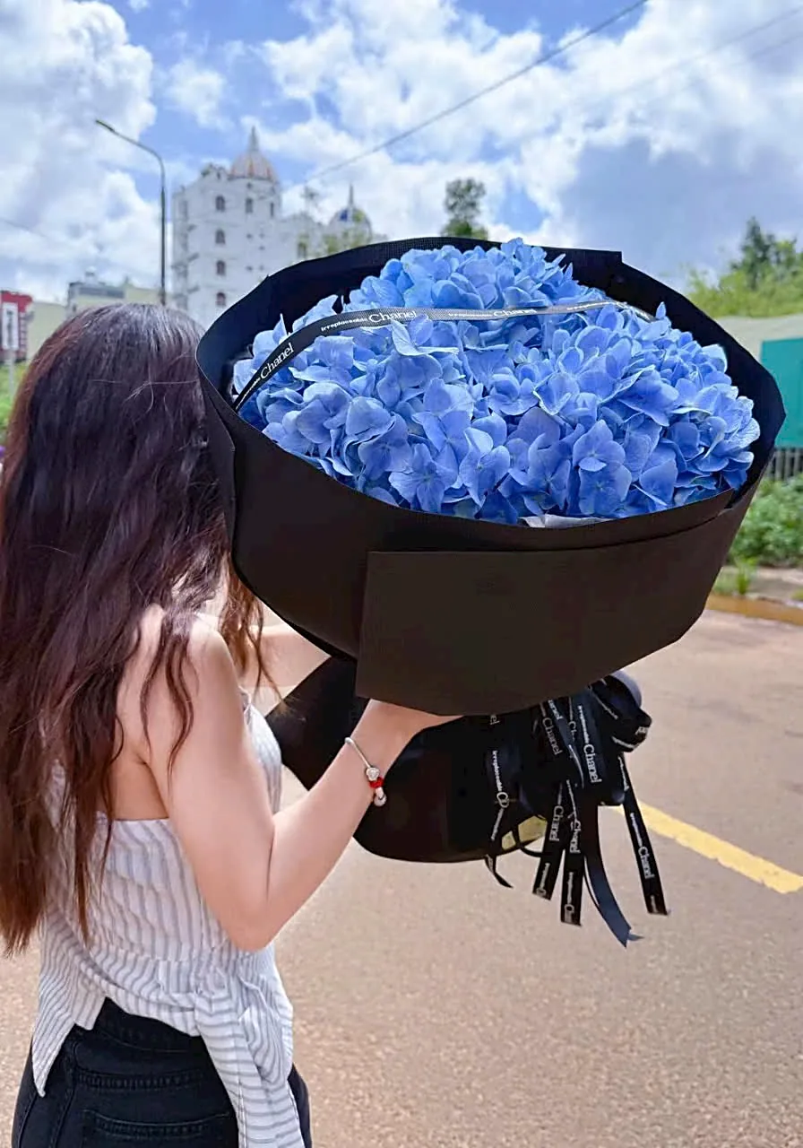 Bó Hoa Cẩm Tú Cầu Xanh Dương – Lam Ngọc Kiêu Sa – HB430 6 Bó hoa cẩm tú cầu xanh dương Lam Ngọc Kiêu Sa