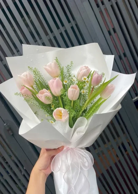 Bó Hoa Tulip Hồng Kem Tinh Khôi