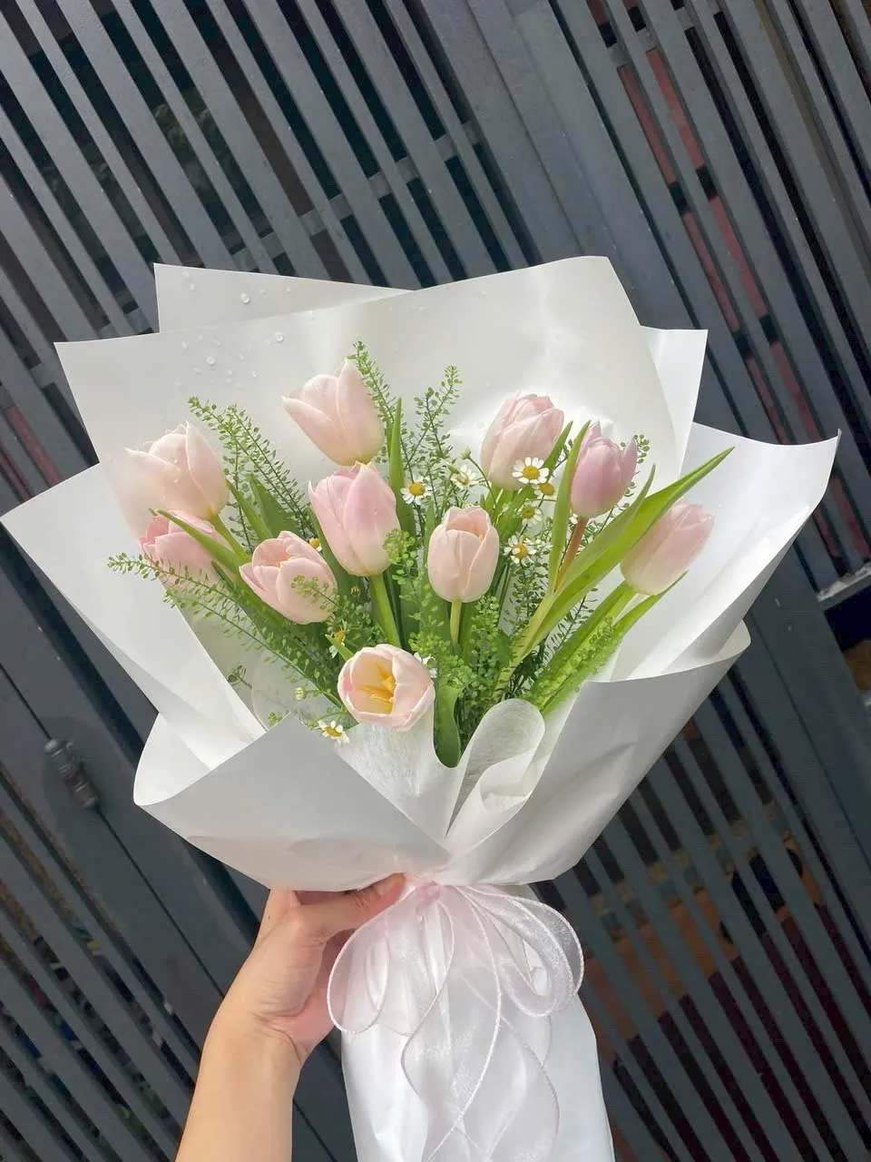 Bó Hoa Tulip Hồng Kem Tinh Khôi – Tlu18 1 Bó Hoa Tulip Hồng Kem Tinh Khôi