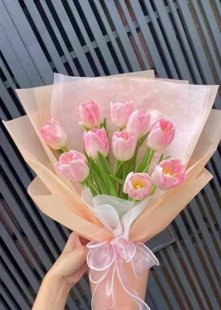 Bó Hoa Tulip Hồng Phấn Dịu Dàng – Hoa Tặng Người Yêu