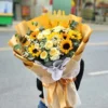 hoa hướng dương phối hồng kem