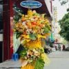 kệ hoa cẩm chướng cam Cánh Bay Vươn Xa