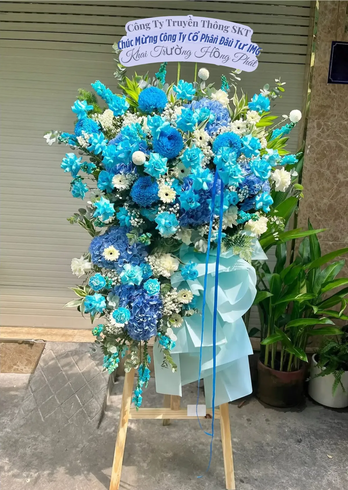 Kệ Hoa Cẩm Tú Cầu Xanh Dương – Lam Ngọc Hồng Phát – DVKT299 6 kệ hoa cẩm tú cầu xanh dương Lam Ngọc Hồng Phát