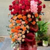 kệ hoa đỏ cam lan hồ điệp Thác Lộc Tuôn Trào