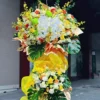 kệ hoa lan hồ điệp trắng voan vàng Ánh Dương An Khang