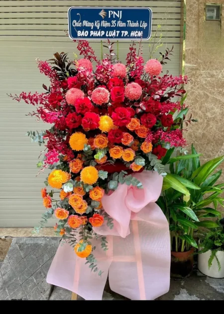 kệ hoa lan mokara đỏ Vinh Quang Rạng Rỡ