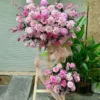 kệ hoa tông hồng phấn Hồng Phấn Hội Tụ