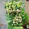 Kệ Hoa Trắng Xanh Sen Đá – Thanh Tâm Bền Vững – DVKT271 2 kệ hoa trắng xanh sen đá Thanh Tâm Bền Vững