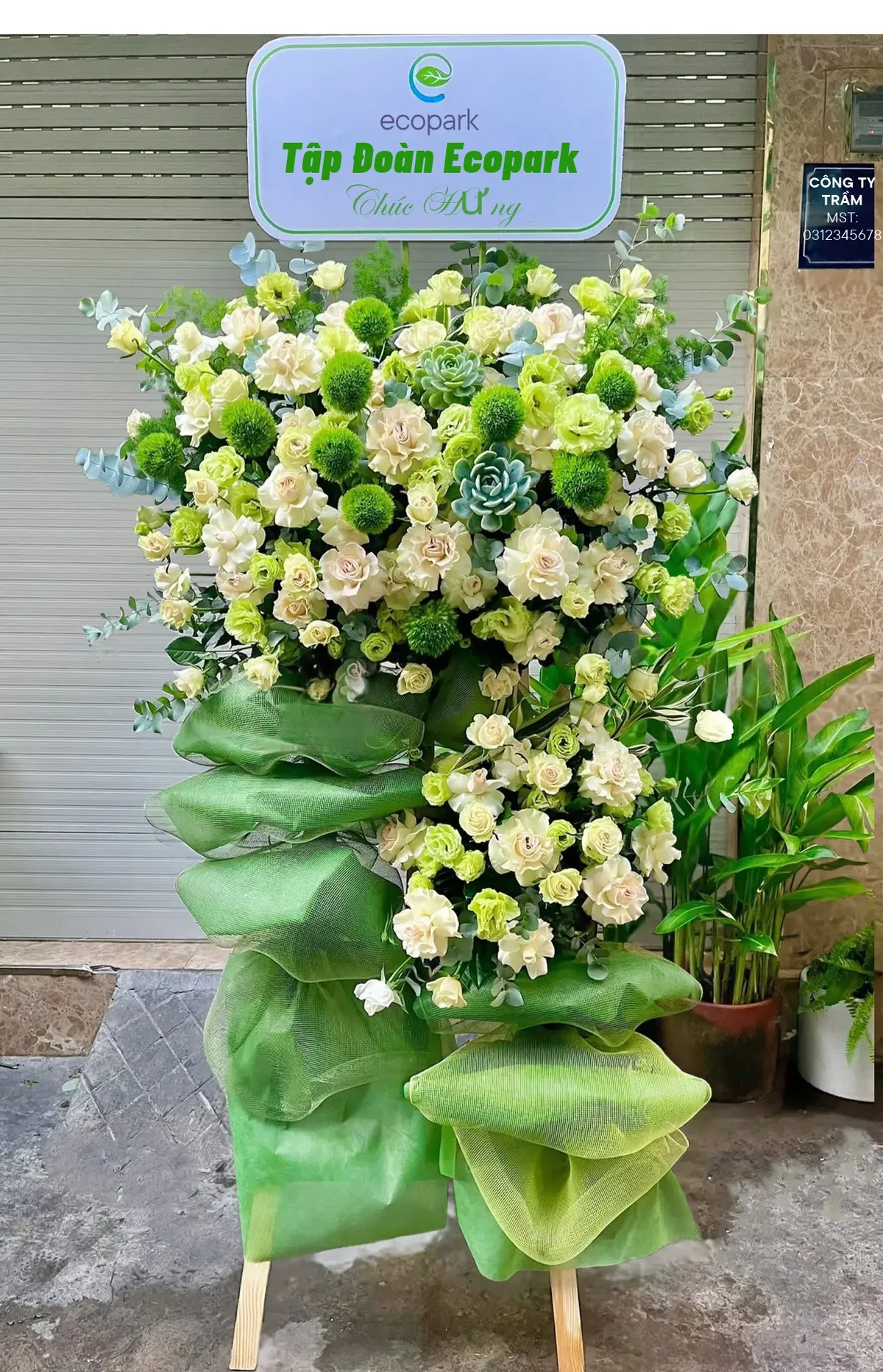 Kệ Hoa Trắng Xanh Sen Đá – Thanh Tâm Bền Vững – DVKT271 6 kệ hoa trắng xanh sen đá Thanh Tâm Bền Vững